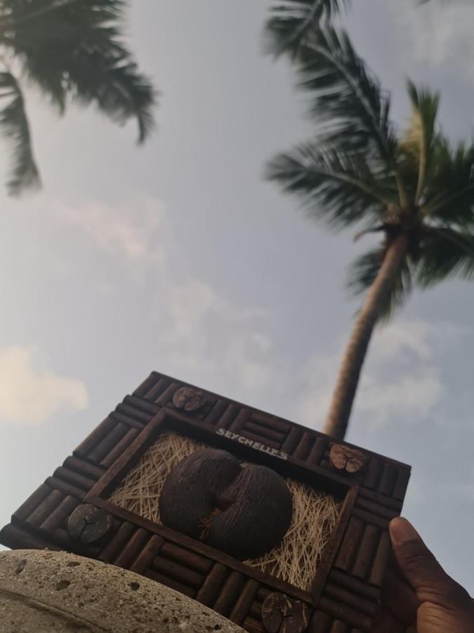 Hotel Ocean Jewels Grand Anse  Exterior foto